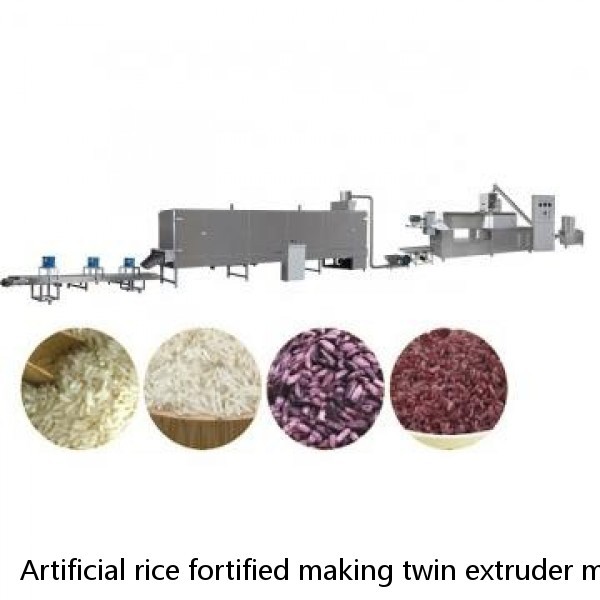 Artificial rice fortified making twin extruder machine