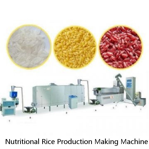 Nutritional Rice Production Making Machine Full Automatic Artificial Rice Making Machine Instant Rice Processing Line Nutritional Rice Production Line