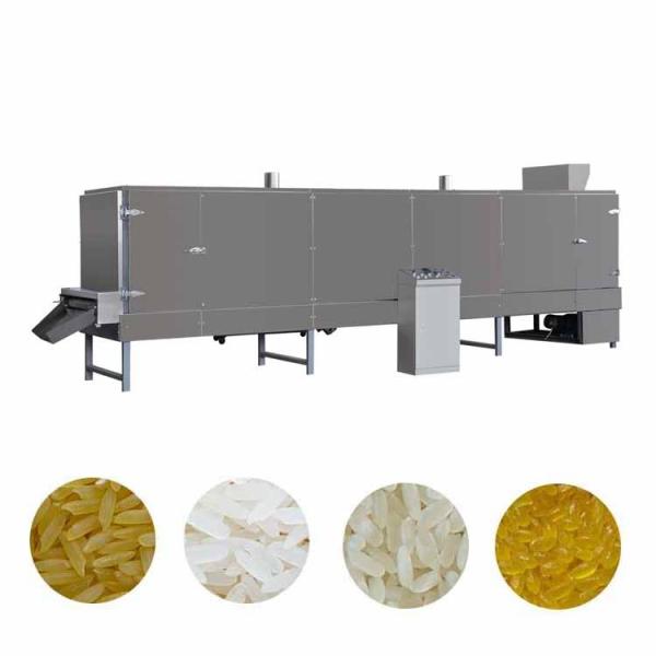 China Double Screw Extruder Full Production Line Artificial Rice Making Machine With Factory Price