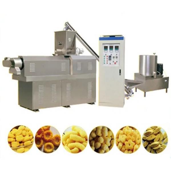 Cereals based papad 2D 3D potato pellet snack food chips extruder machine