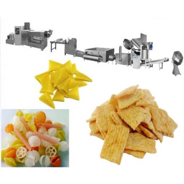 Automatic 3D Snack Pellets Panipuri Golgappa Fryums Making Machine