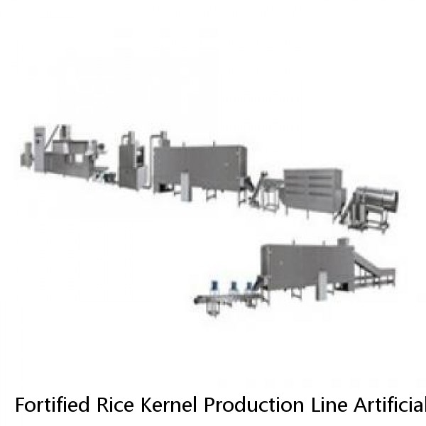 Fortified Rice Kernel Production Line Artificial Rice Extruder Making Machine