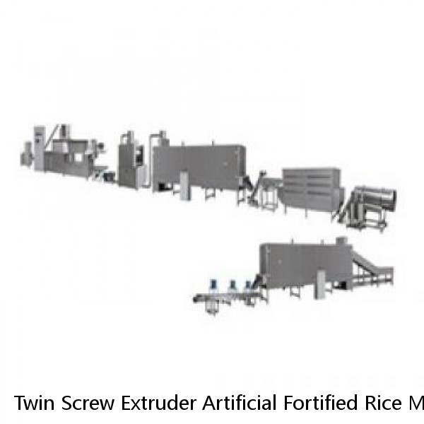 Twin Screw Extruder Artificial Fortified Rice Making Processing Machine