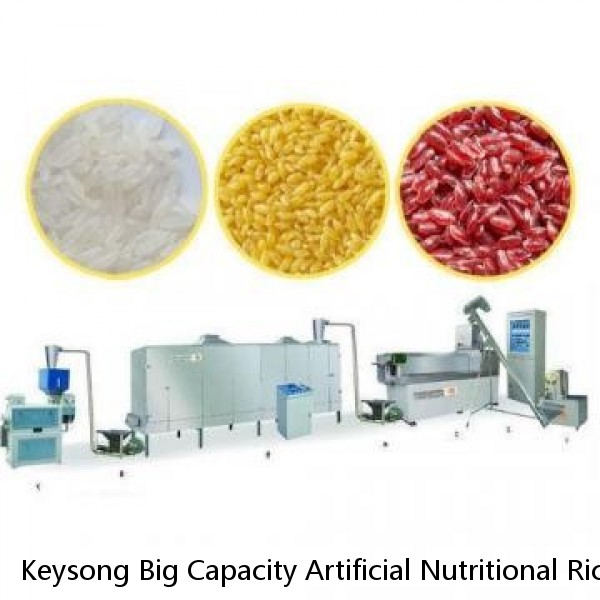 Keysong Big Capacity Artificial Nutritional Rice Processing Line